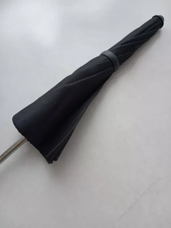 Slunečník černý.