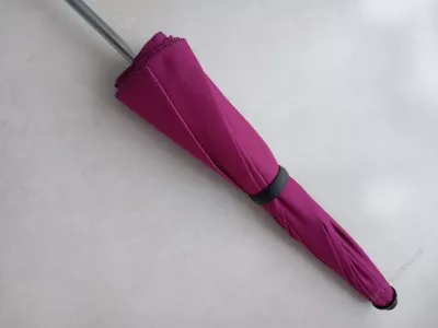 Slunečník červený.