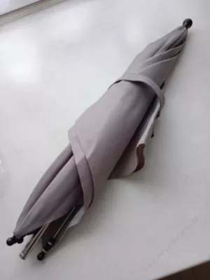Slunečník šedý - hranatý.